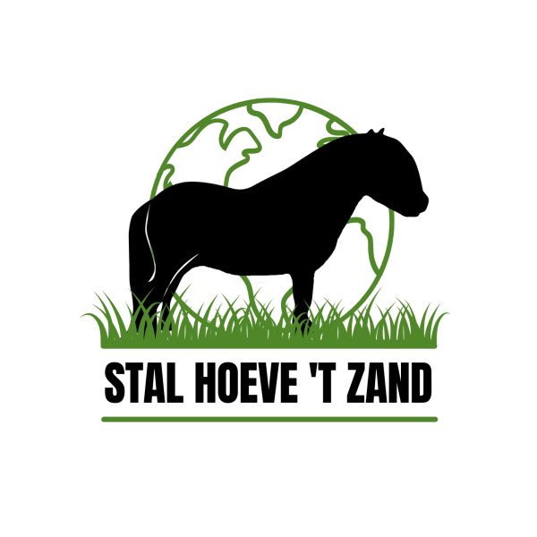 Prachtig zwart hengstveulen - Afbeelding 7