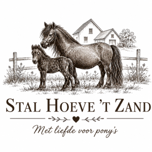 NSPS Shetland Pony's